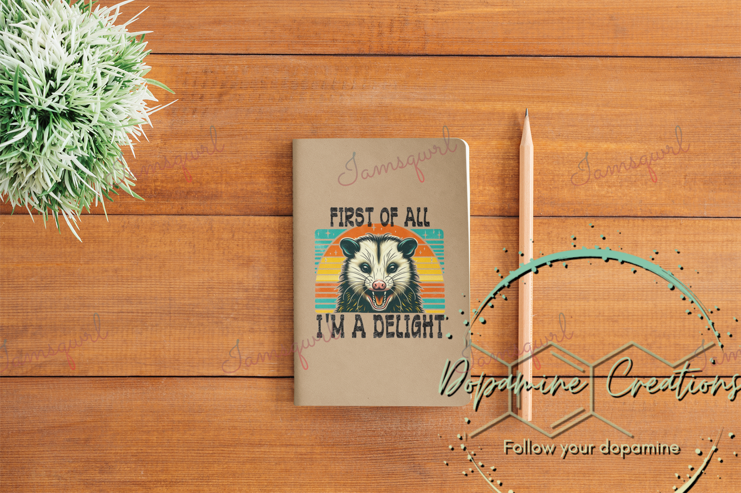 First of All I'm a Delight Blank Notebook