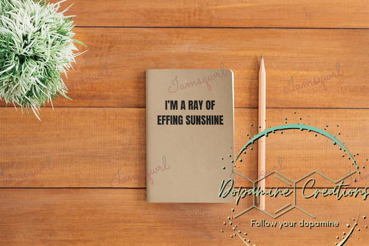 I'm an Effing Ray of Sunshine Blank Notebook